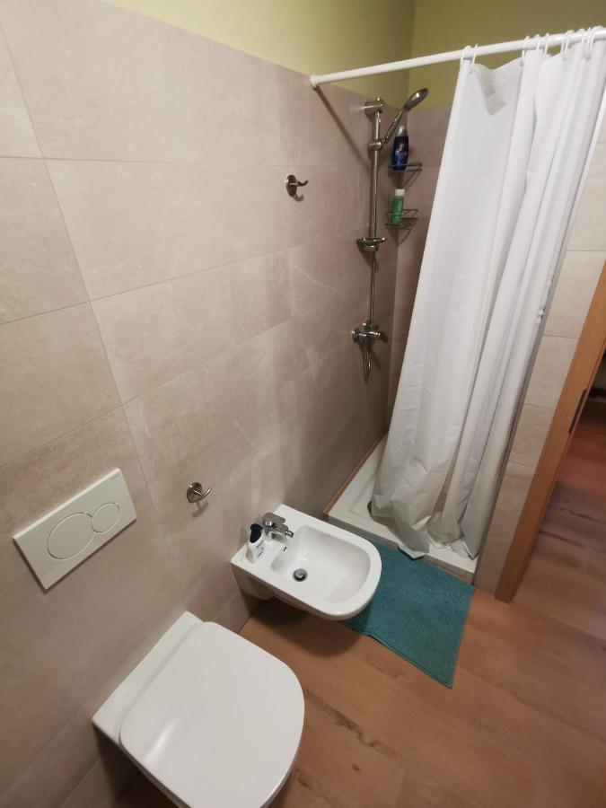 Apartma Baladur Brezovica pri Gradinu Ngoại thất bức ảnh